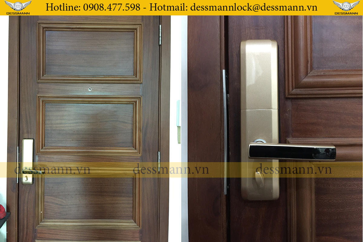 Dessmann S510 II Hoang anh gia lai thanh binh 2