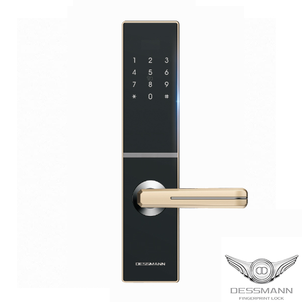 Khóa thẻ từ Dessmann C800-II